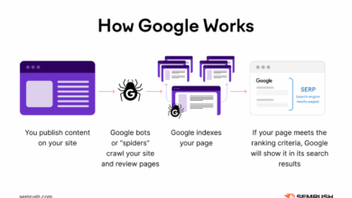 What Are Crawl Errors & How Do They Affect SEO? What Are Crawl Errors & How Do They Affect SEO?