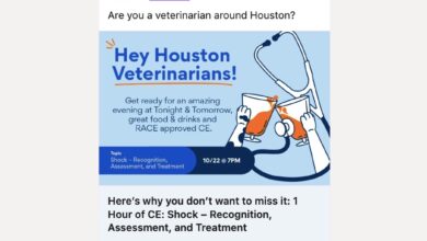 What Is Online Advertising? The Complete Beginner’s Guide What Is Online Advertising? The Complete Beginner’s Guide