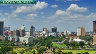 Cargo Services from Pakistan to Kenya by Air & Sea Cargo Services from Pakistan to Kenya by Air & Sea