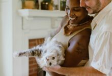 5 Stock Photo Sites to Make Your Content Inclusive & Diverse 5 Stock Photo Sites to Make Your Content Inclusive & Diverse