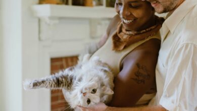 5 Stock Photo Sites to Make Your Content Inclusive & Diverse 5 Stock Photo Sites to Make Your Content Inclusive & Diverse