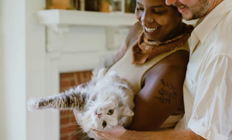 5 Stock Photo Sites to Make Your Content Inclusive & Diverse 5 Stock Photo Sites to Make Your Content Inclusive & Diverse