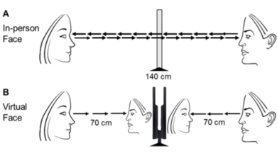 Your Brain on Zoom Calls: New Research Your Brain on Zoom Calls: New Research